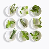 Nine white dishes each containing a different fresh herb