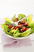 Romaine lettuce with chicken, tomatoes and avocado