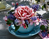 Tulip, grape hyacinths & apple blossom in a cup and saucer