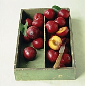 Red plums with knife in green box