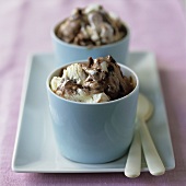 Vanilla and chocolate ice cream in two pots