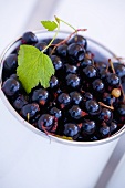 Blackcurrants in a mug