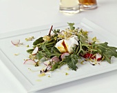 Spring salad with poached egg