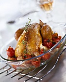 Roast chicken with tomatoes and garlic