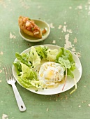 Sorrel salad with poached egg and bruschetta