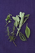 Mediterranean herbs (rosemary, thyme, sage etc.)
