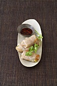 Vietnamese spring rolls with spicy dip