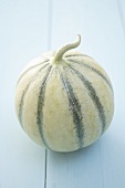 A Charentais melon