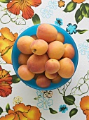 A bowl of fresh apricots (from above)