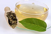 A cup of walnut leaf tea