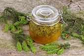 Spruce tip honey (Household remedy for coughs and colds)