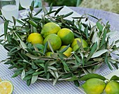 Kranz aus Olivenzweigen mit Limetten