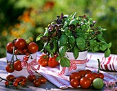 Tomaten & Basilikum (Grosses grünes Genoveser & Baristo Rosso)