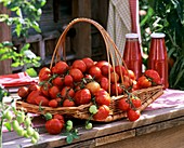 Tomatoes in a basket