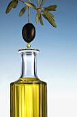 Olivenöl tropft von Olive in eine Karaffe