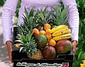 Kiste mit exotischen und heimischen Früchten