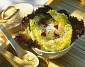 Gemischter Blattsalat mit Glasnudeln