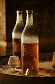Old bottles of Frapin Cognac with cobwebs