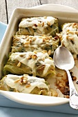 Savoy cabbage leaves stuffed with chicken