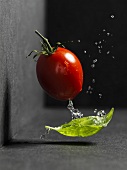 Plum tomato with basil and drops of water