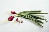 Red spring onions