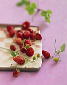 Wild strawberries on porcelain board