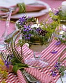 Windlight with borage, fennel, oregano and grasses