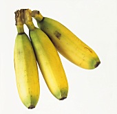 Baby-Bananen au Kolumbien (Zuckerbananen)