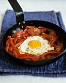 Fried egg with red peppers and tomatoes
