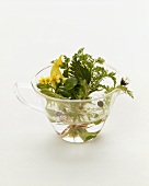 Posy of spring herbs