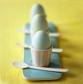 Boiled eggs in eggcups with spoons