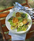 Salade Chevre chaud (Blattsalat mit heißem Ziegenkäse)