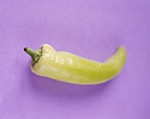 A pointed pepper
