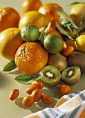 Still life with citrus fruit and kiwi fruit