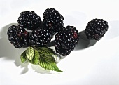 Blackberries