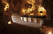 Wine cellar near Massa Marittima (Tuscany)