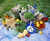 Picnic with herbs and tomatoes