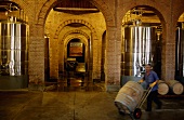 A view of the cellar at the Bodega Terrazas de los Andes in Mendoza, Argentina
