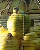 Quinces in a wire basket (close-up)