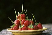 Fresh strawberries with stalks on a plate