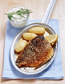 Nuremberg carp (marinated in beer) with creamed horseradish and salted potatoes
