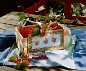 A basket of freshly picked redcurrants