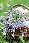 An Easter basket of flowers on the grass