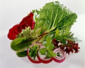 Various lettuce leaves and onion rings