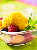 Compote with fruit sorbet