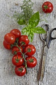 Vine tomatoes, basil and thyme