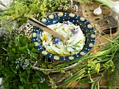 A bowl of herb quark surrounded by fresh herbs