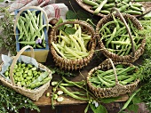 Various types of green beans in baskets
