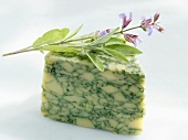 A piece of sage cheese (England)