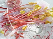 An arrangement of fresh rhubarb, rhubarb compote and sugar